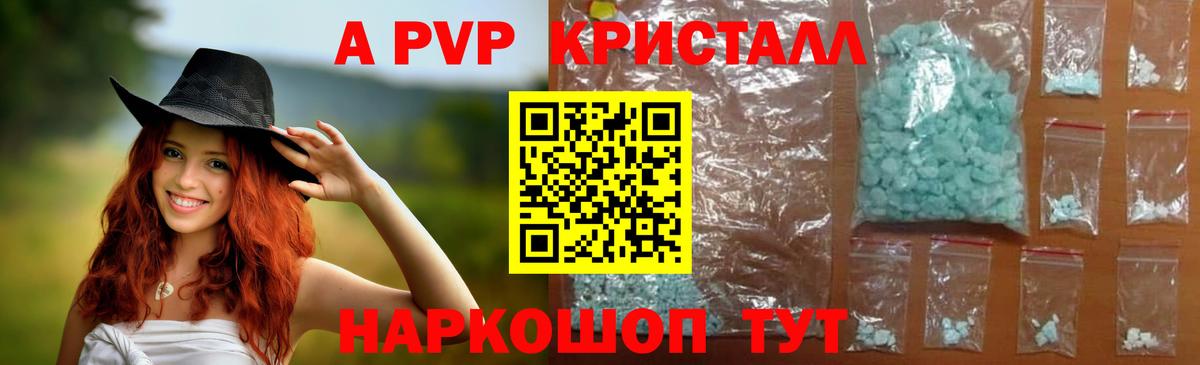 A PVP СК Новоалтайск