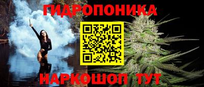 стафф Ставрополь