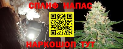 стафф Ставрополь