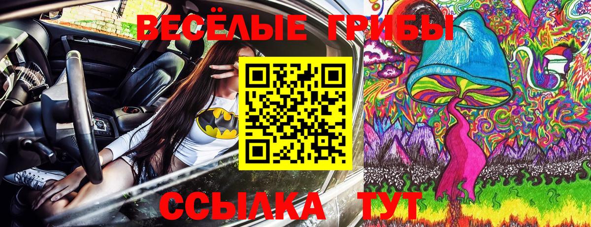 Галлюциногенные грибы прущие грибы  Вход с VPN  Новоалтайск 